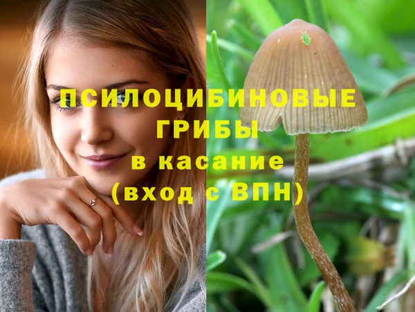 прущие крисы Горнозаводск