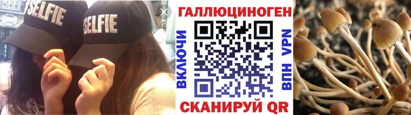 Купить где  Кольчугино  Галлюциногенные грибы GOLDEN TEACHER 
