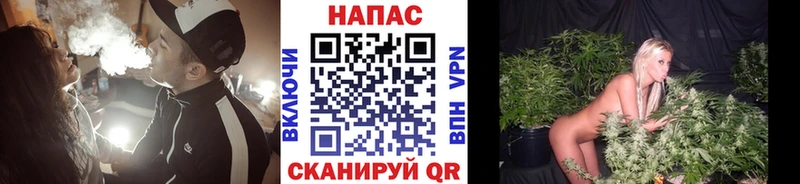 Бошки марихуана семена Кольчугино